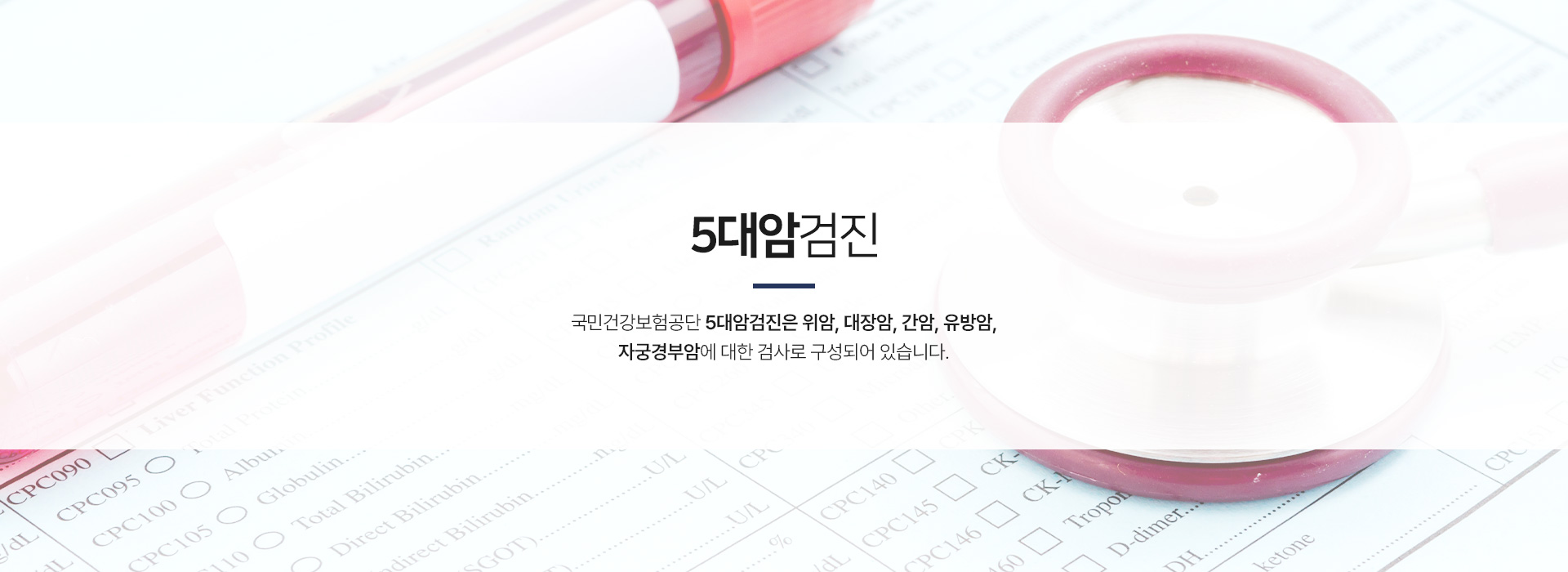 5대암검진 정의